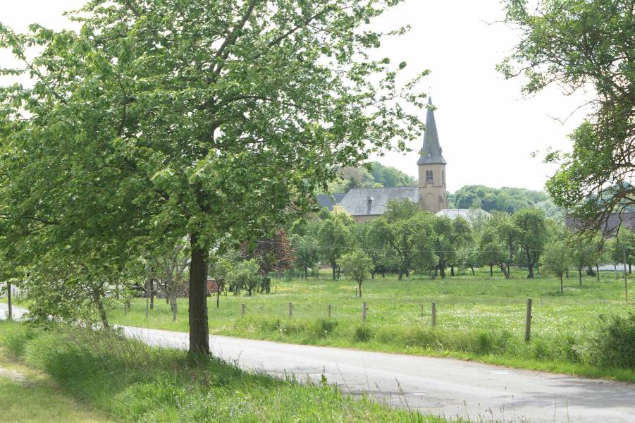 Kleebachstraße